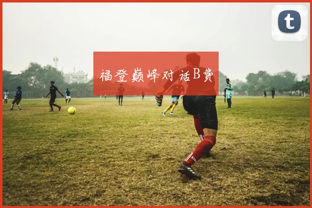 福登巅峰对话B费