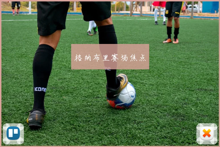 格纳布里赛场焦点
