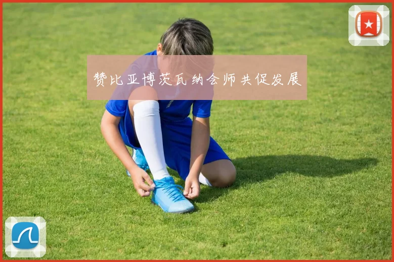 赞比亚博茨瓦纳会师共促发展