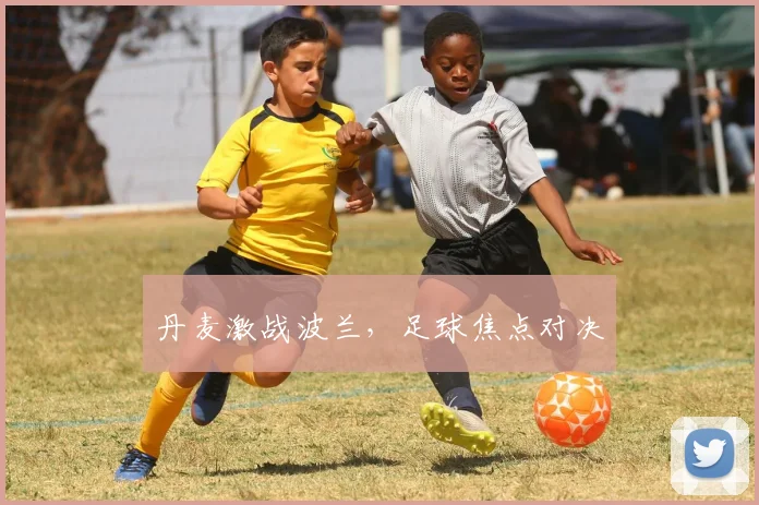 丹麦激战波兰，足球焦点对决