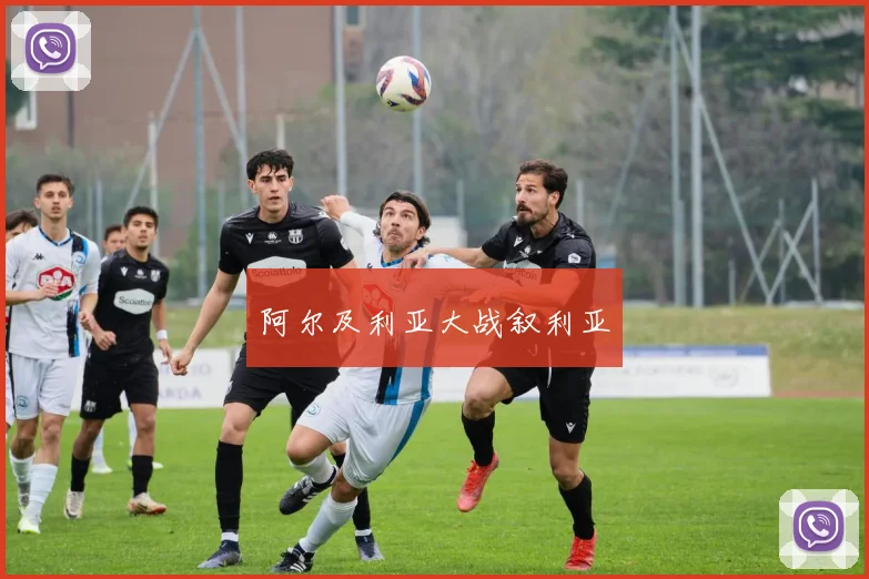 阿尔及利亚大战叙利亚