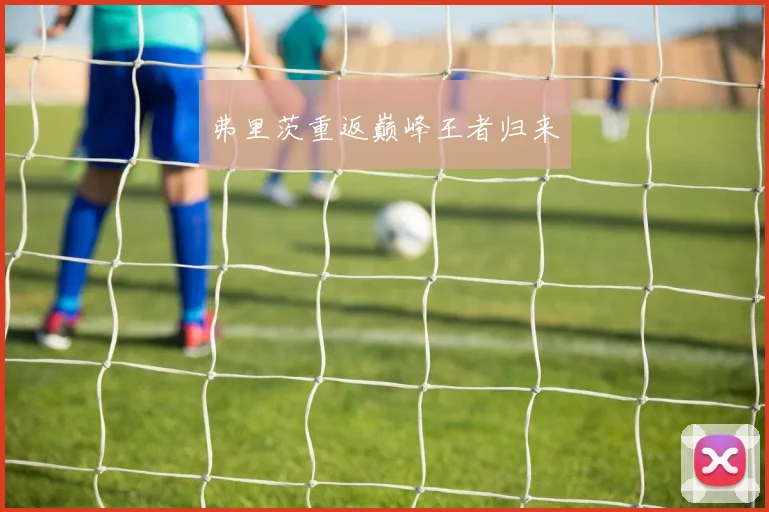 弗里茨重返巅峰王者归来