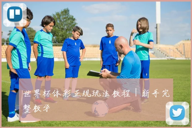 世界杯体彩正规玩法教程｜新手完整教学