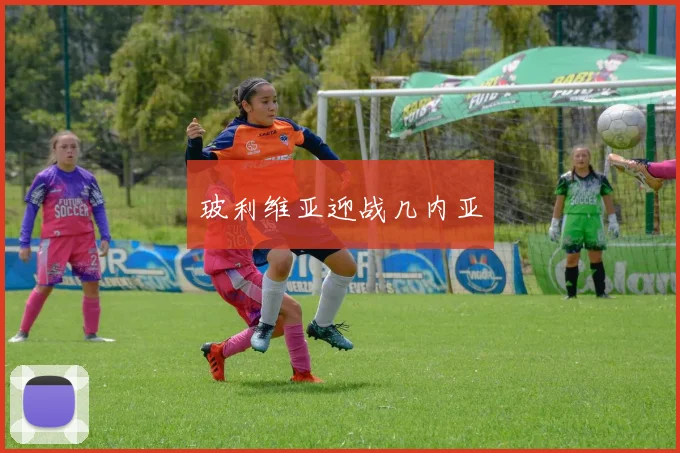 玻利维亚迎战几内亚