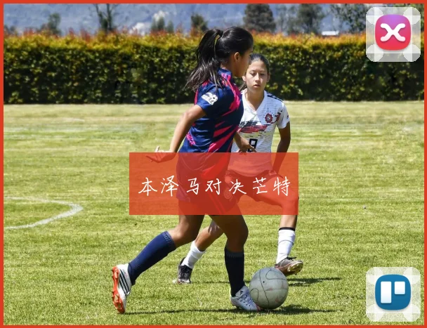 本泽马对决芒特