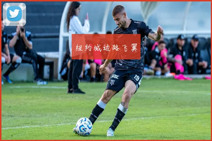 纽约城边路飞翼