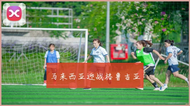 马来西亚迎战格鲁吉亚