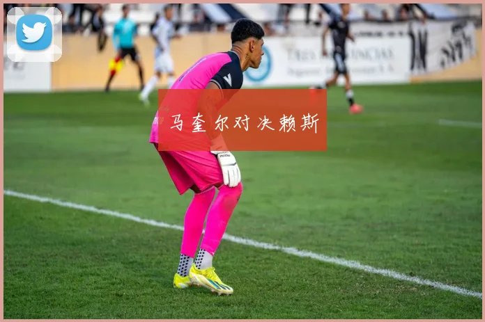 马奎尔对决赖斯