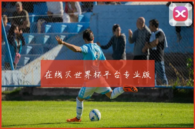 在线买世界杯平台专业版