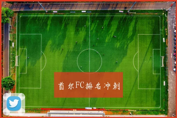 首尔FC排名冲刺