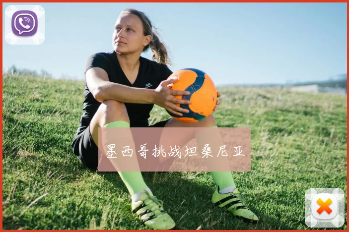 墨西哥挑战坦桑尼亚
