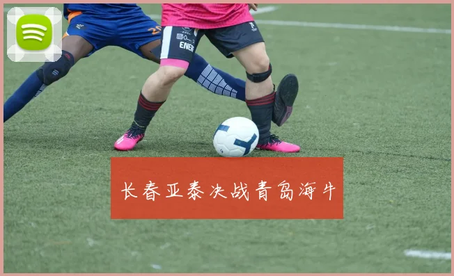 长春亚泰决战青岛海牛