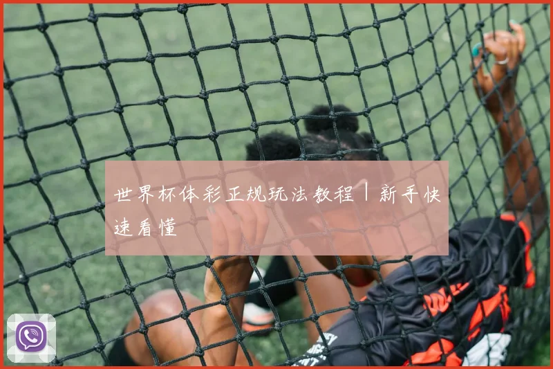 世界杯体彩正规玩法教程｜新手快速看懂