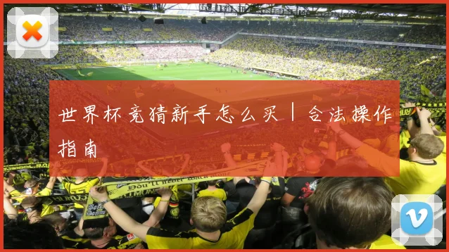 世界杯竞猜新手怎么买｜合法操作指南