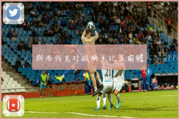 斯洛伐克对战纳米比亚前瞻