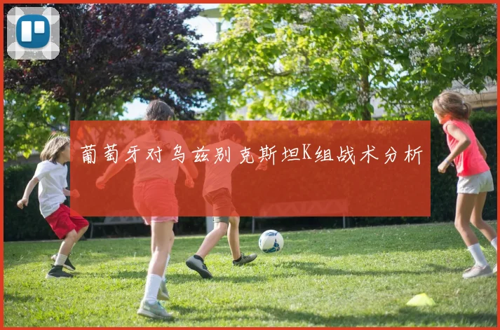 葡萄牙对乌兹别克斯坦K组战术分析