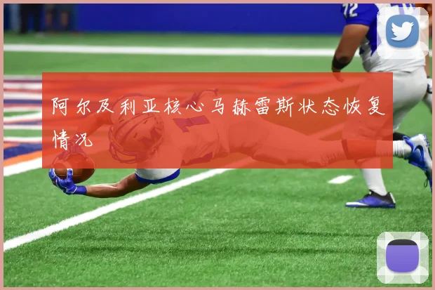 阿尔及利亚核心马赫雷斯状态恢复情况