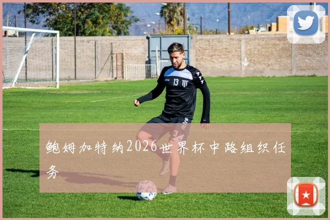 鲍姆加特纳2026世界杯中路组织任务