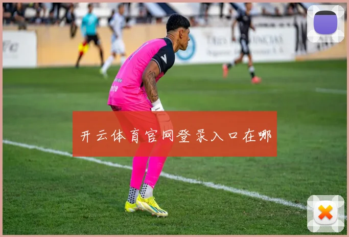 开云体育官网登录入口在哪