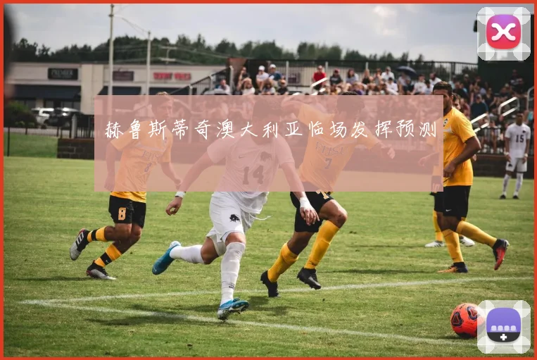 赫鲁斯蒂奇澳大利亚临场发挥预测