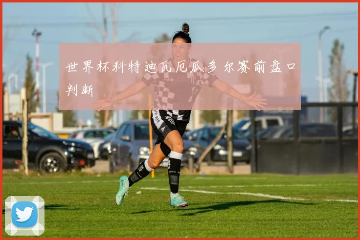 世界杯科特迪瓦厄瓜多尔赛前盘口判断
