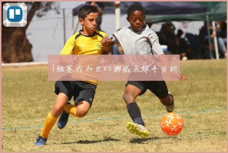 I组塞内加尔vs挪威点球手分析