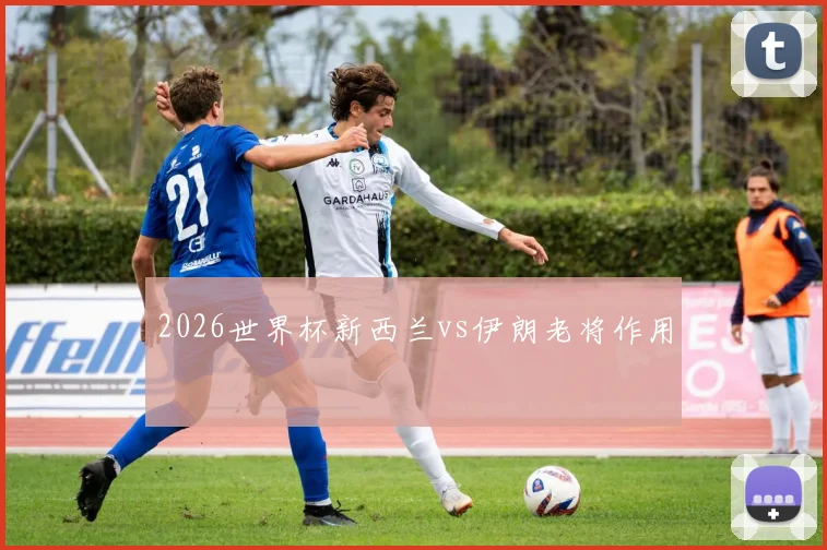 2026世界杯新西兰vs伊朗老将作用